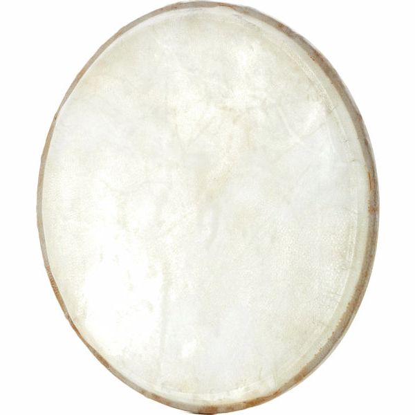 Studio 49 EFRT300 skin for Framedrum