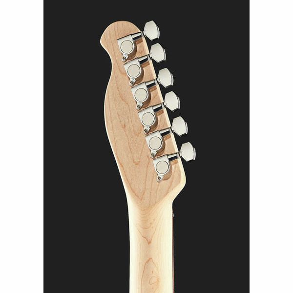 Harley Benton TE-20 BK Standard Serie Set 1