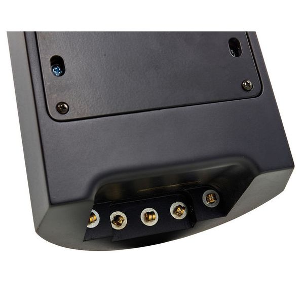 NS Design NXT5a-DB-SB Double Bass