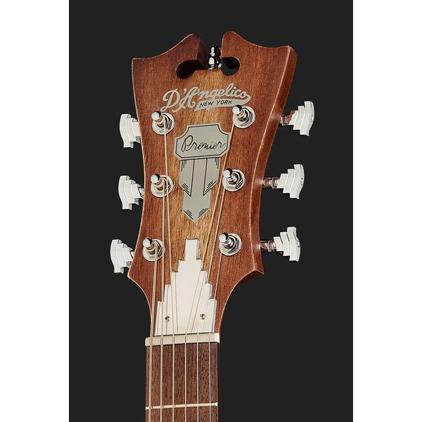 DAngelico Premier Bowery LS Aged Mah