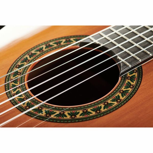 Alhambra 5P incl.Gig Bag