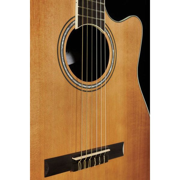 Ovation Celebrity Tradition CS-24C-4-G