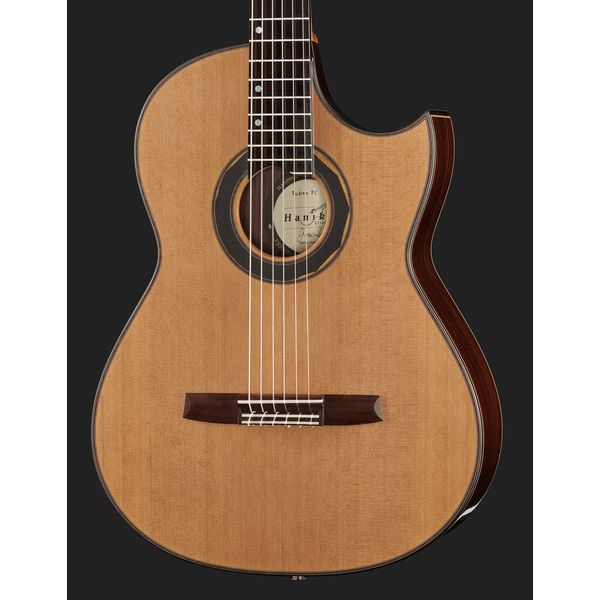 Hanika Fusion PC w/Pickup