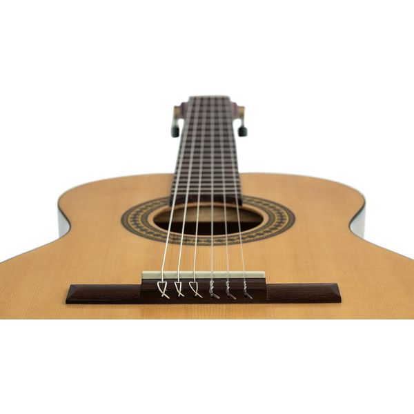 Ortega RPPC34 Pickers Pack