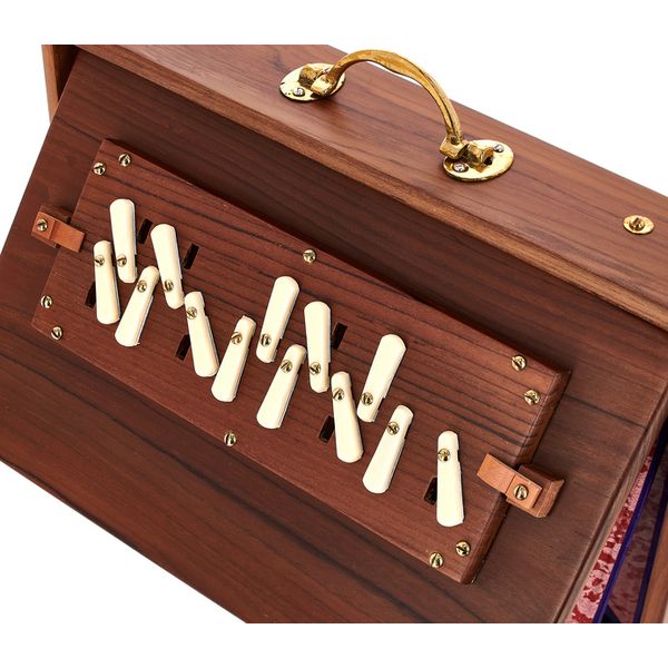 Thomann Nataraj Prof. Shruti Solid TW