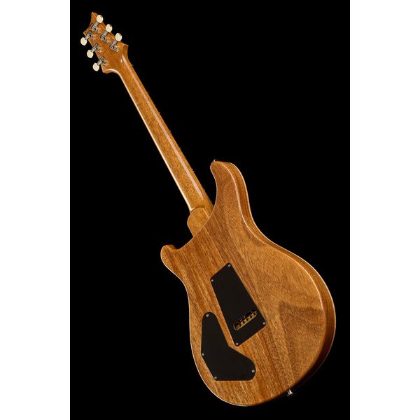 PRS DGT Birds Charcoal '24