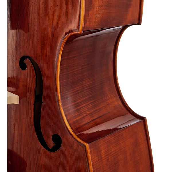 Scala Vilagio Double Bass Gamba 5-Str. IB