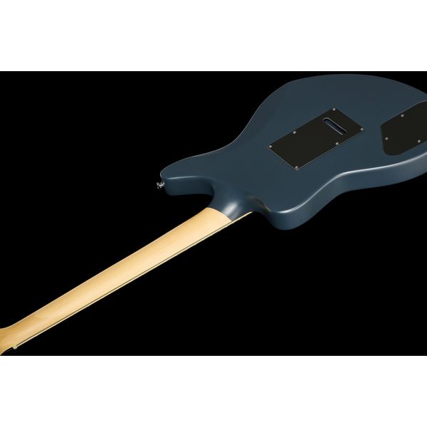 DAngelico Premier Bedford Bob Weir Sig