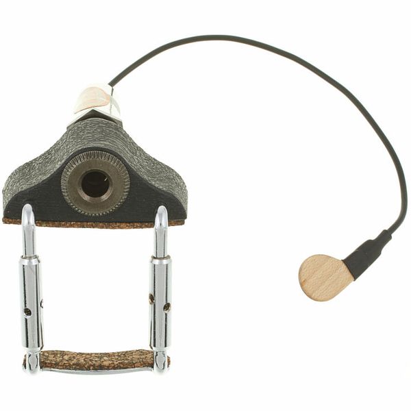 MI-SI Acoustic Trio/Vio