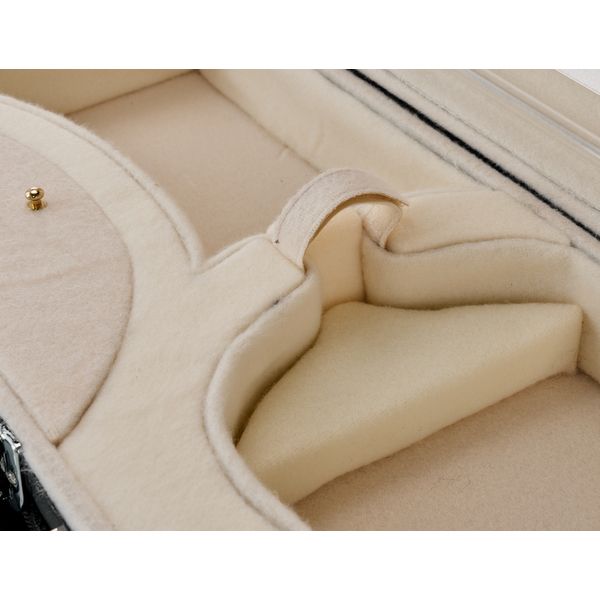 Roth & Junius RJVC Violin Case Legato 4/4