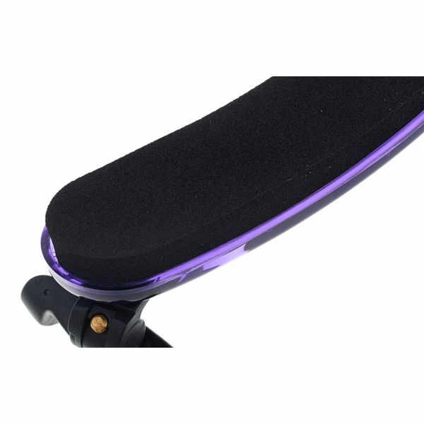 Viva la Musica Compact Viola Purple