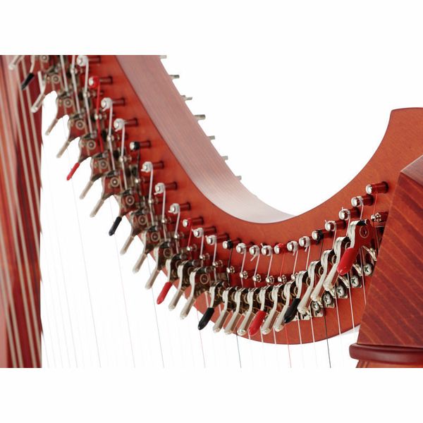 Salvi Titan Cherry Sipario Biocarbon