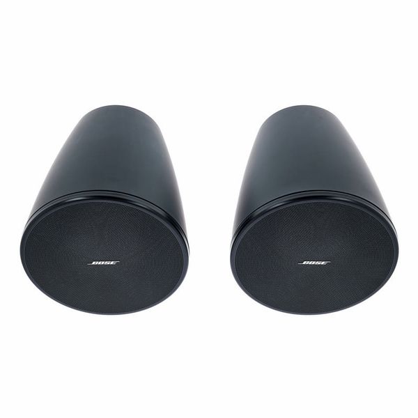 Bose Professional DesignMax DM5P black