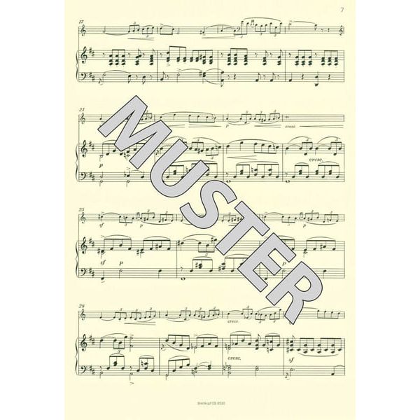 Breitkopf & Hrtel Bottesini Kontrabasskonzert