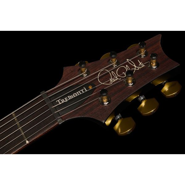 PRS Mark Tremonti FW 10 Top ST