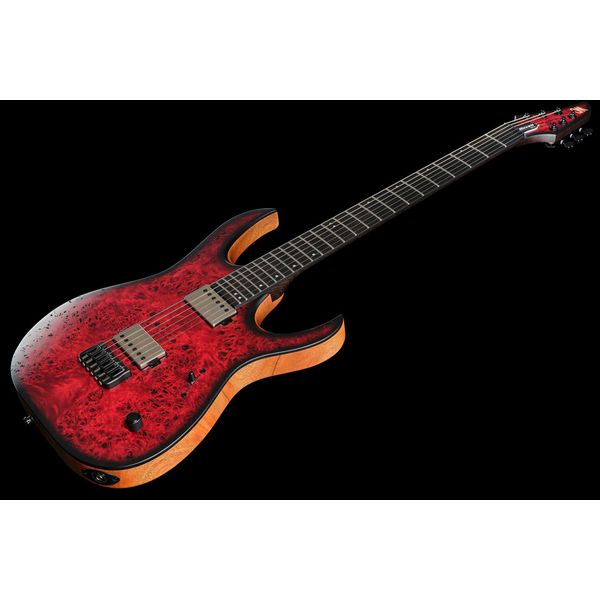 Mayones Guitars Duvell Elite 6 B27 FDR