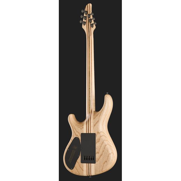 Mayones Guitars Regius 4EVER 6 B27