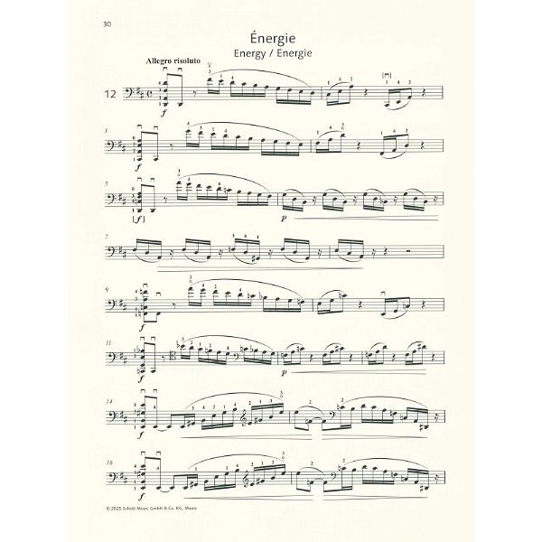 Schott Lee 12 Etudes-Caprices