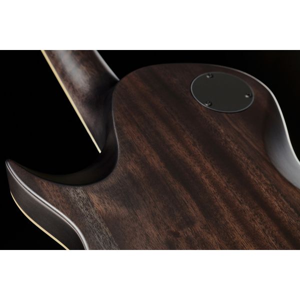 ESP LTD EC-401 QM ST Black