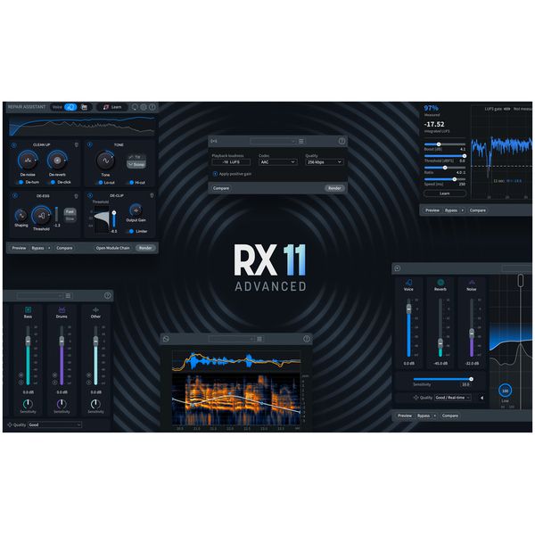 iZotope RX 11 Adv UG RX Adv / PPS