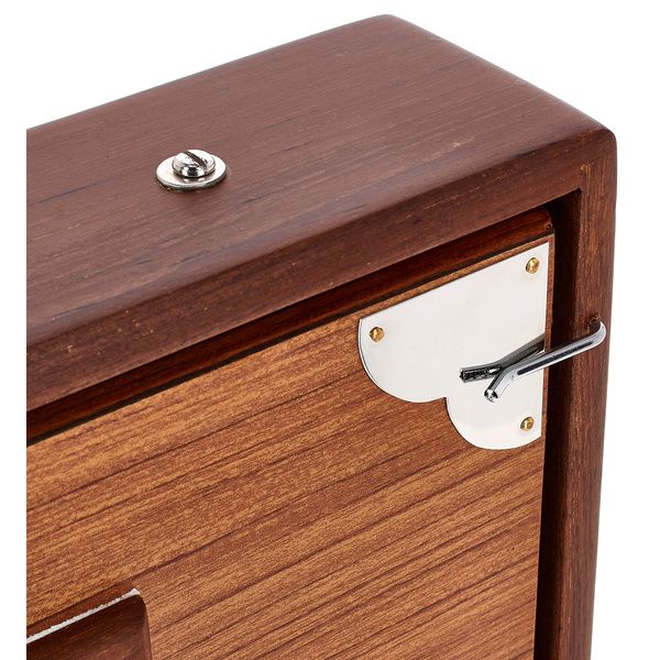 Thomann Nataraj Prof. Shruti C-C Small