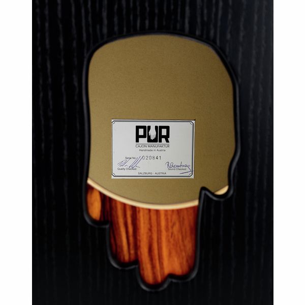 PUR Vision Pro Pal. HiHat Right