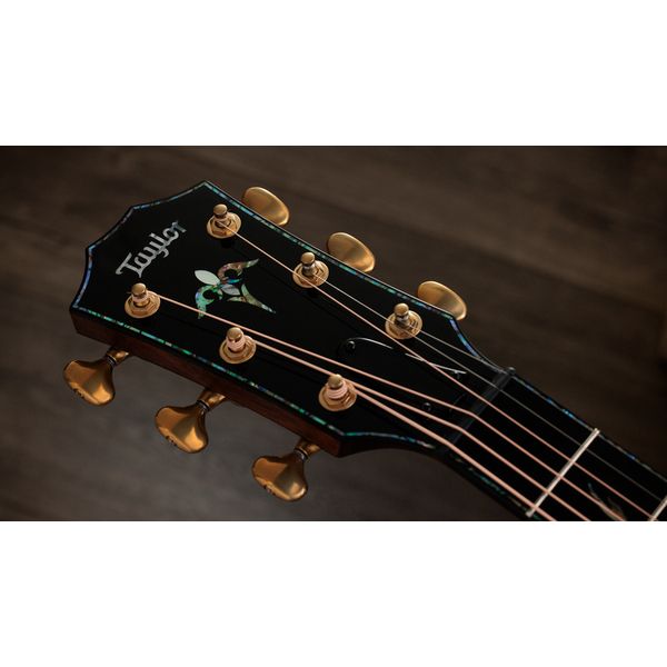 Taylor PS14ce Figured Urban Ironback