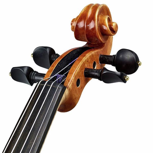 Karl Höfner Guadagnini 4/4 Violin Outfit