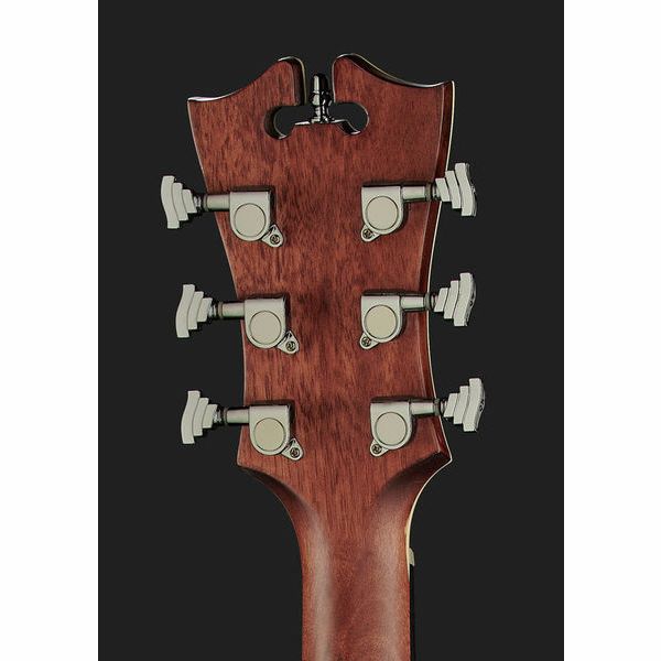 DAngelico Premier Bowery LS