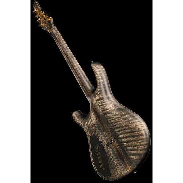 Mayones Guitars Regius 7 TDRG