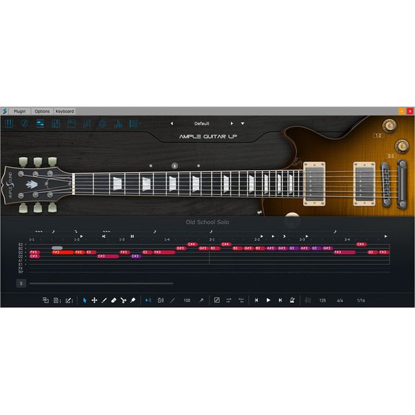 Ample Sound Ample Guitar LP III