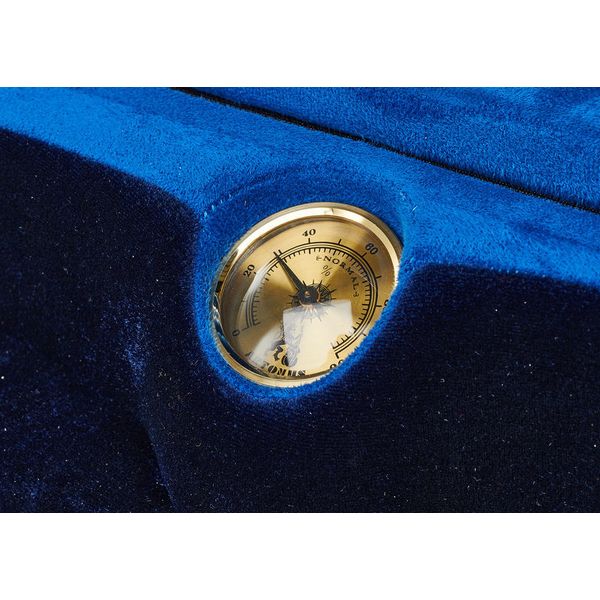 Artonus Elipe Violin Case 4/4 G2