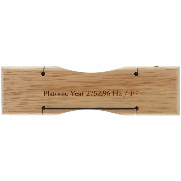 Meinl Energy Chime Earth Plat. Year