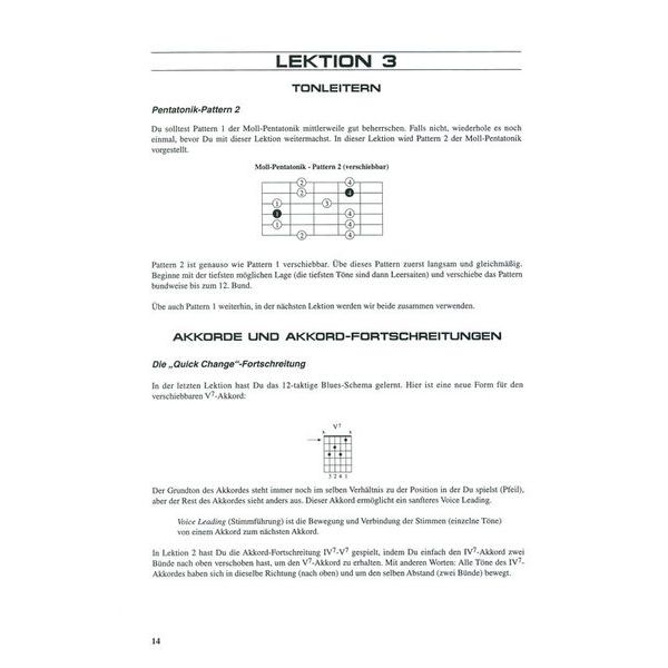 Voggenreiter Blues You Can Use