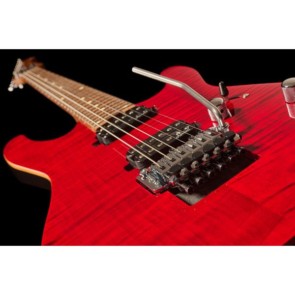 Harley Benton Fusion-III HH FR Roasted FCH