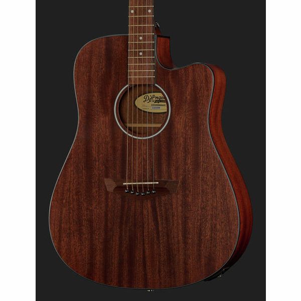 DAngelico Premier Bowery LS