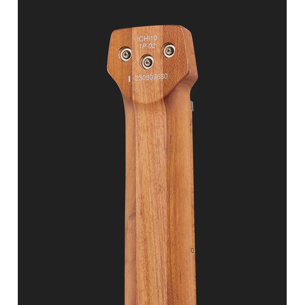 Ibanez ICHI10-VWM