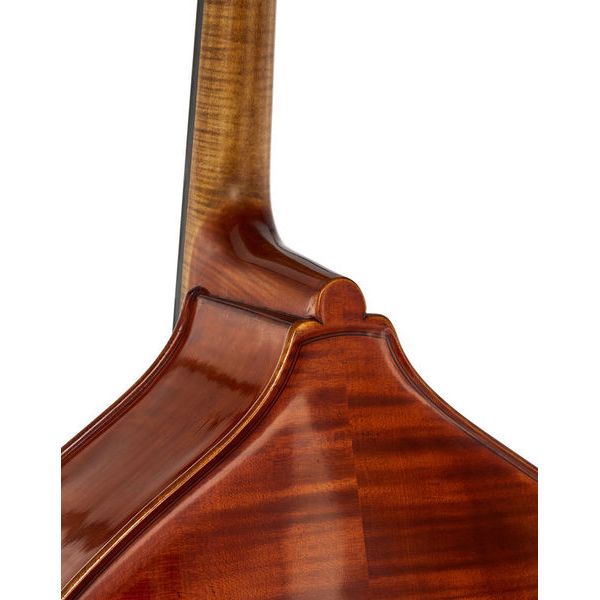Scala Vilagio Double Bass Gamba IB