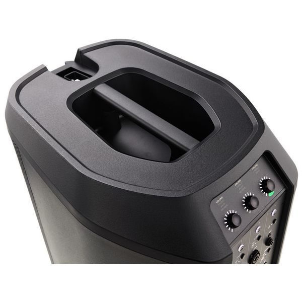 Bose L1 Pro16 Tonematch Bundle