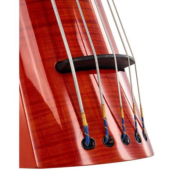 NS Design WAV5c Bass Amberburst