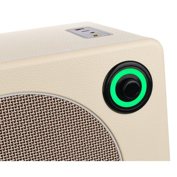 Mooer Hornet 30i Modeling Amp White