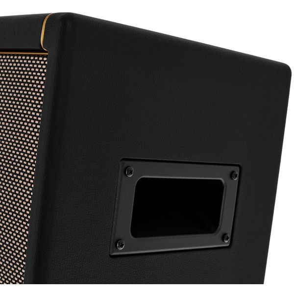 Positive Grid Spark CAB