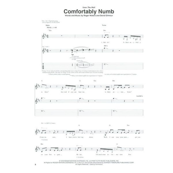 Hal Leonard Pink Floyd Acoustic Guitar