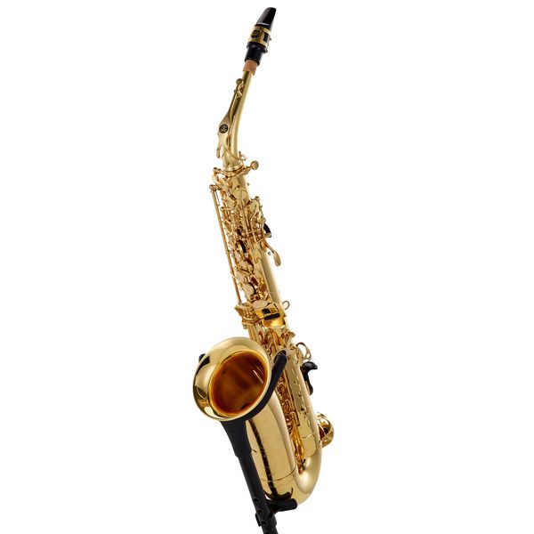 Buffet Crampon Prodige Alto Sax Set