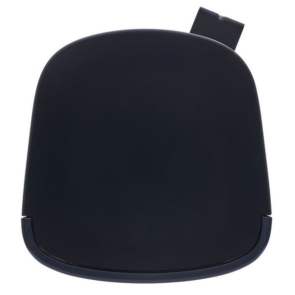 Bose Professional DesignMax DM5SE black