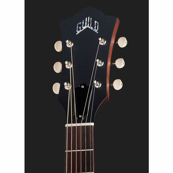 Guild D-20 Nat USA