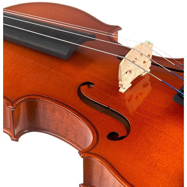 Karl Höfner Allegretto 4/4 Violin Outfit