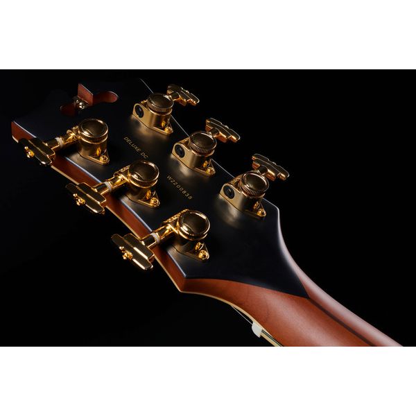 DAngelico Deluxe DC Satin Brown Burst