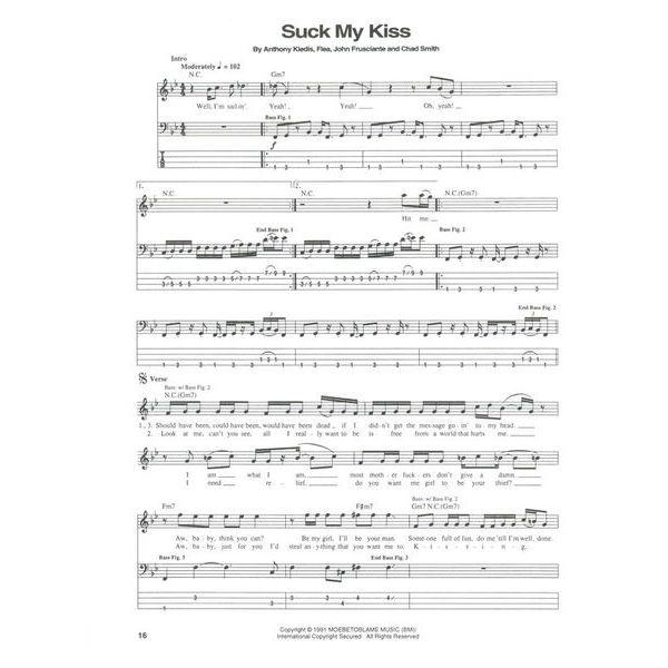 Hal Leonard Red Hot Chili Blood Bass