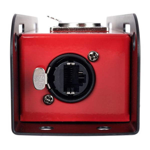 the sssnake Cat Snake 5FB